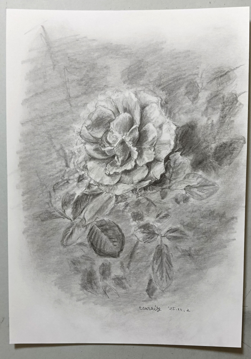 そこにある生命の重なり