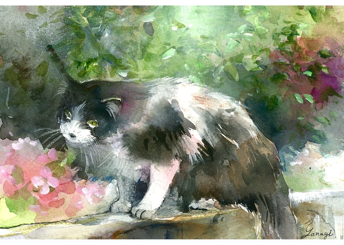 水彩画 原画 迷猫」 by 柳｜Artmeter｜暮らしを彩るアートが、きっと