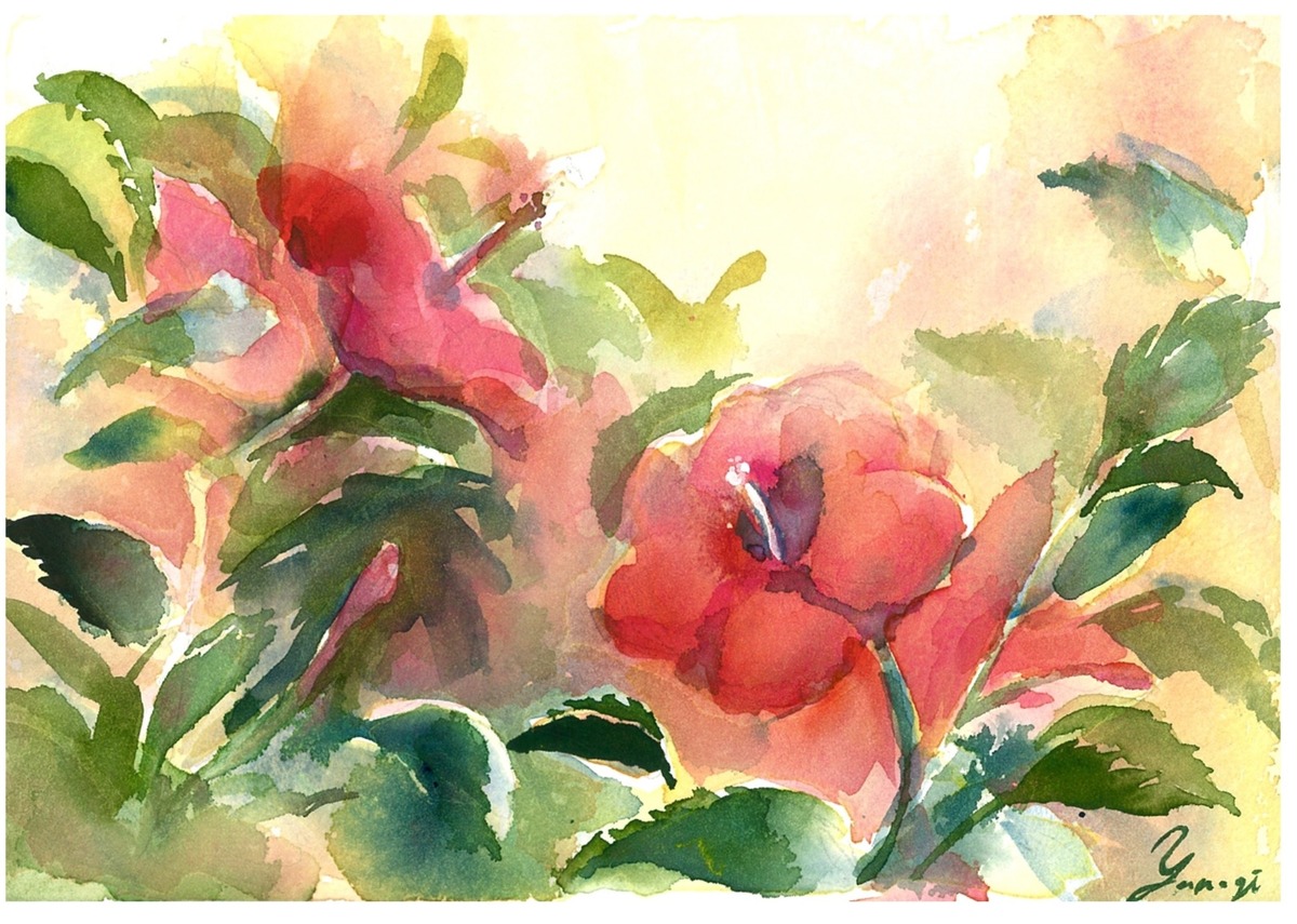 水彩画 原画 ハイビスカス