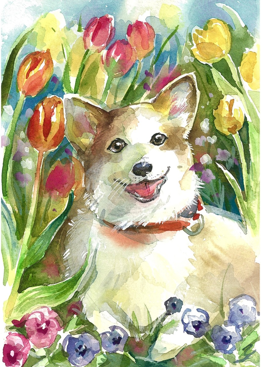 水彩画 原画 笑顔コーギー
