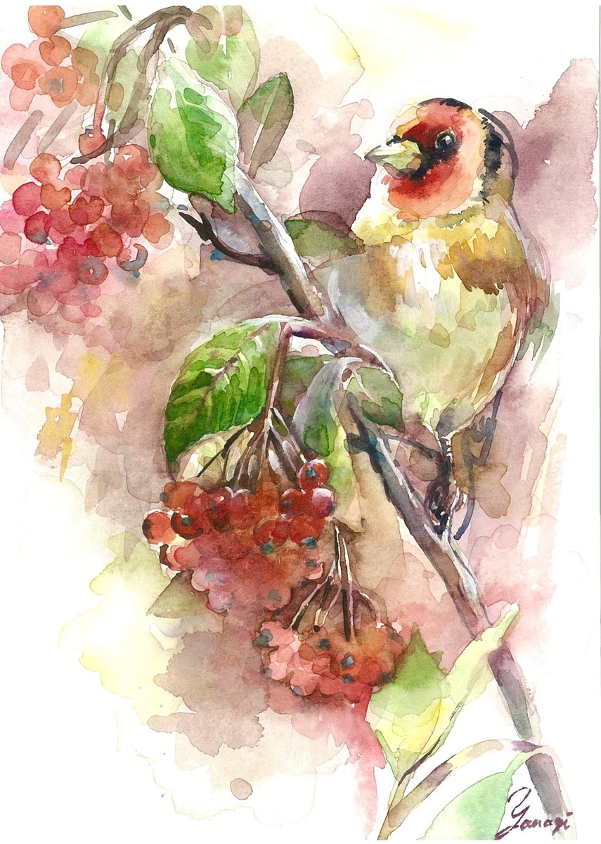 水彩画 原画 小鳥と果実