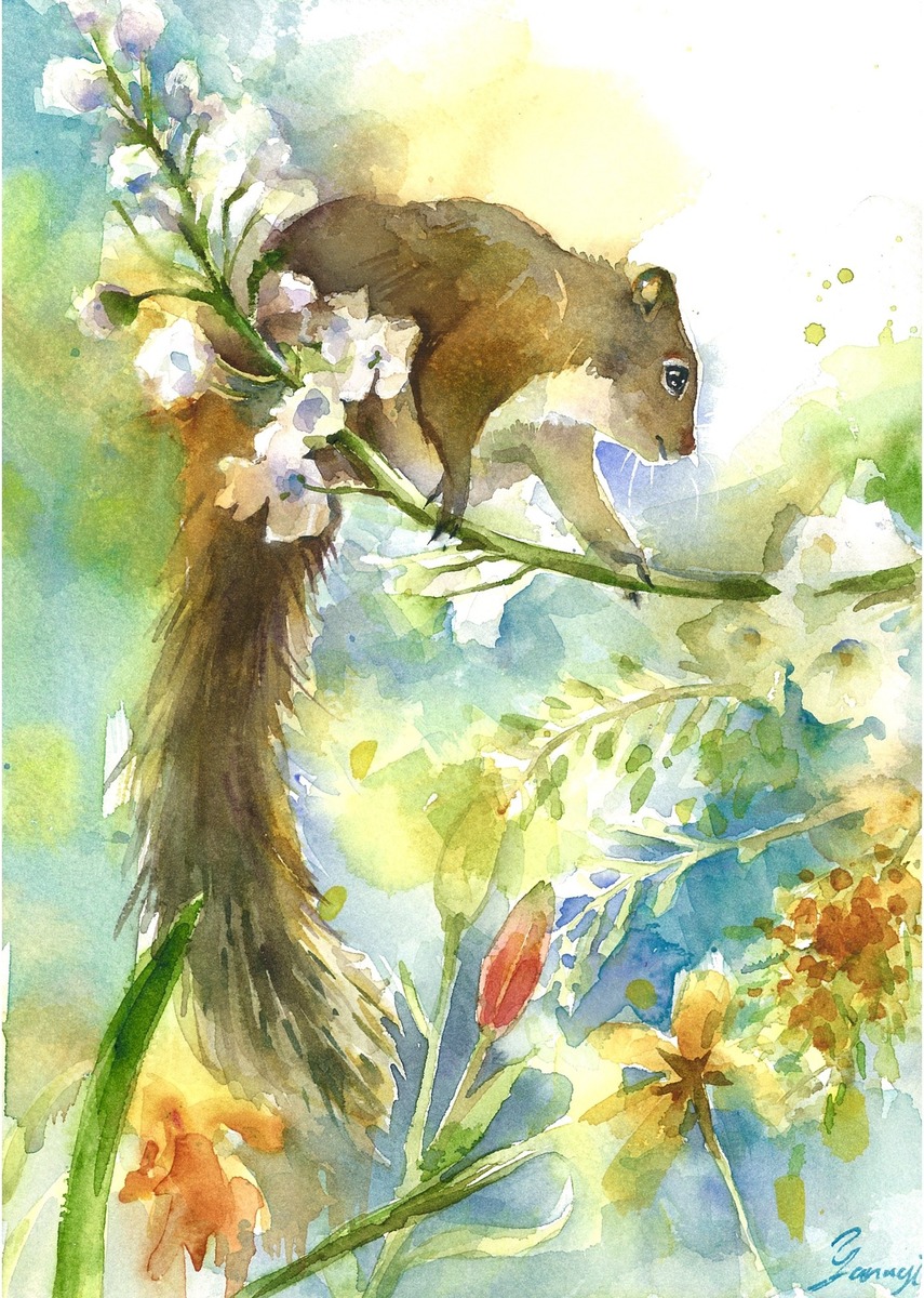 水彩画 原画 リスと花々