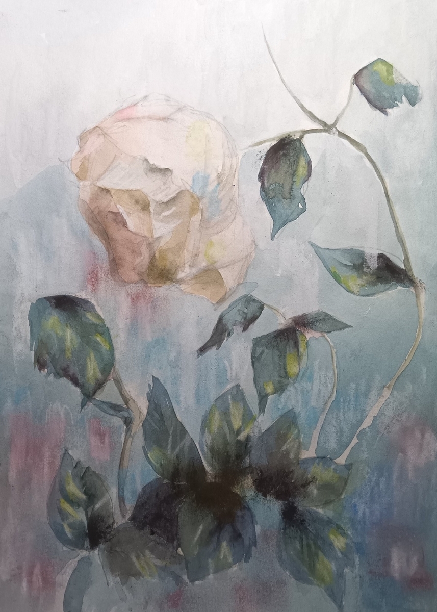 うなだれる薔薇