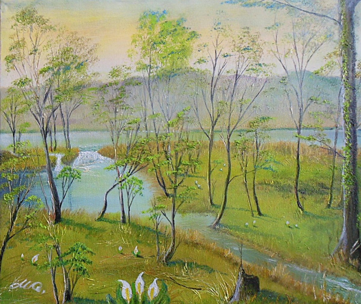 夕刻の湿原・・・