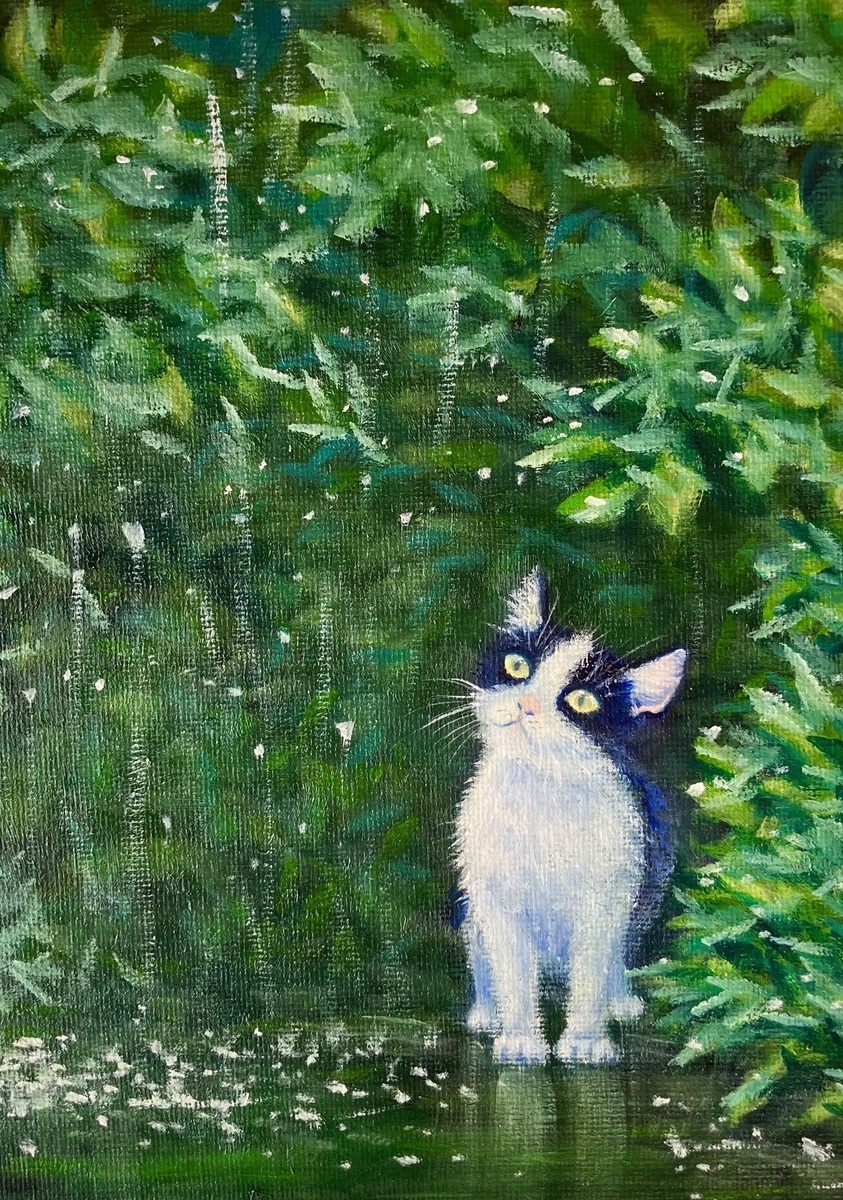 雨の日のお散歩