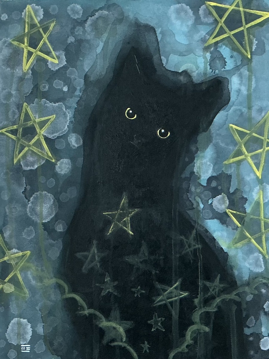 星の中の黒猫