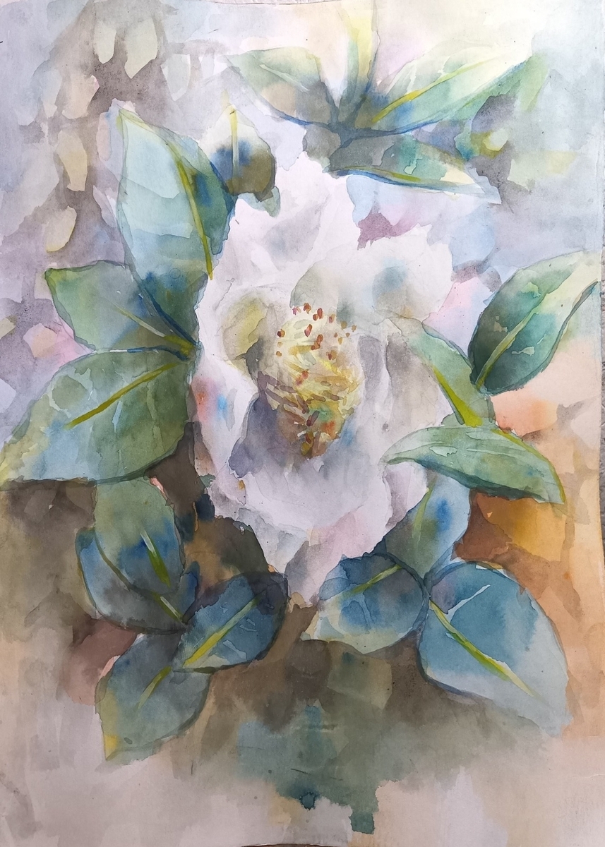 山茶花」 by kappa｜Artmeter｜暮らしを彩るアートが、きっと見つかる