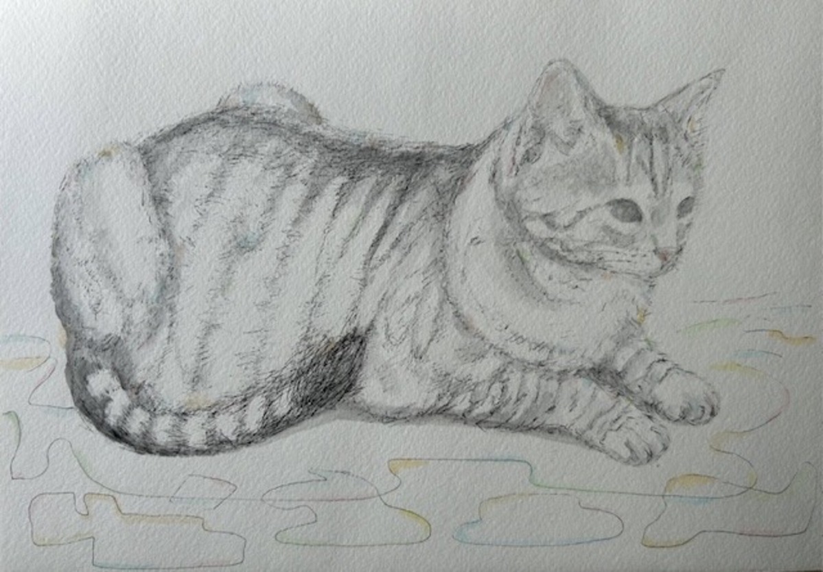 にゃっこちゃん9