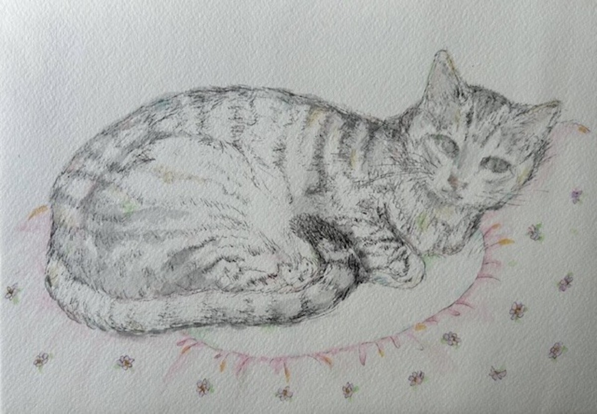 にゃっこちゃん10