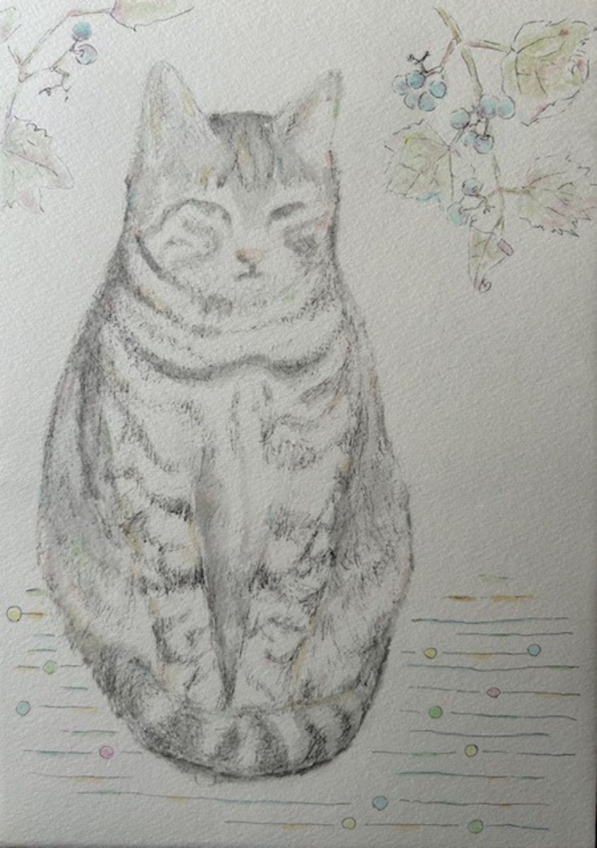 にゃっこちゃん11