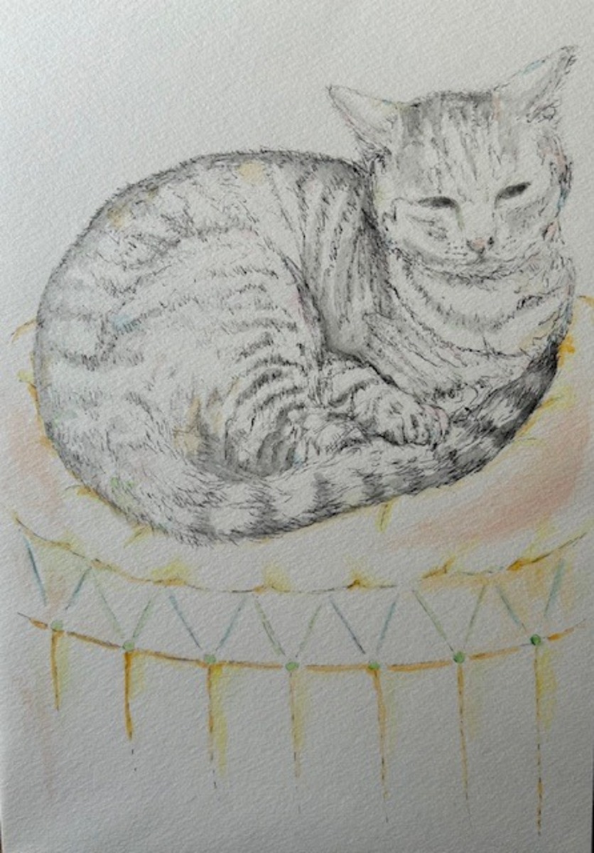 にゃっこちゃん12