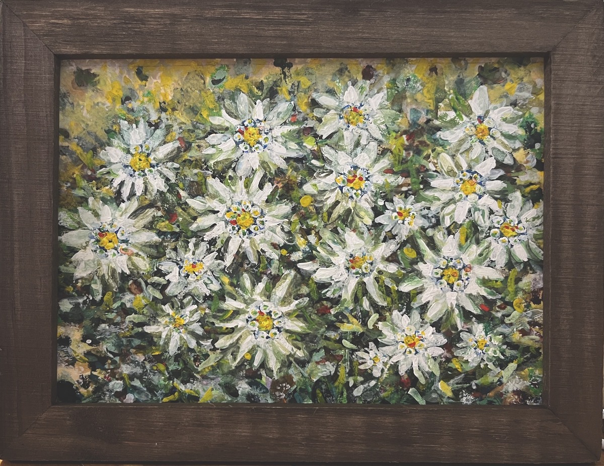 エーデルワイス