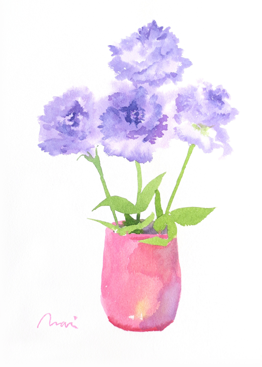 Eustoma Prima Lavender