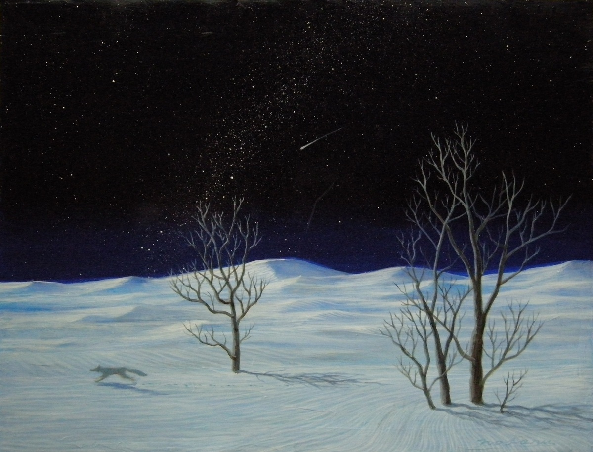 星降る快晴の夜