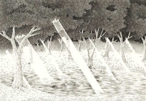 風景画 こもれび 結城貴美 Art Meter 風景画 こもれび 結城貴美 Art Meter