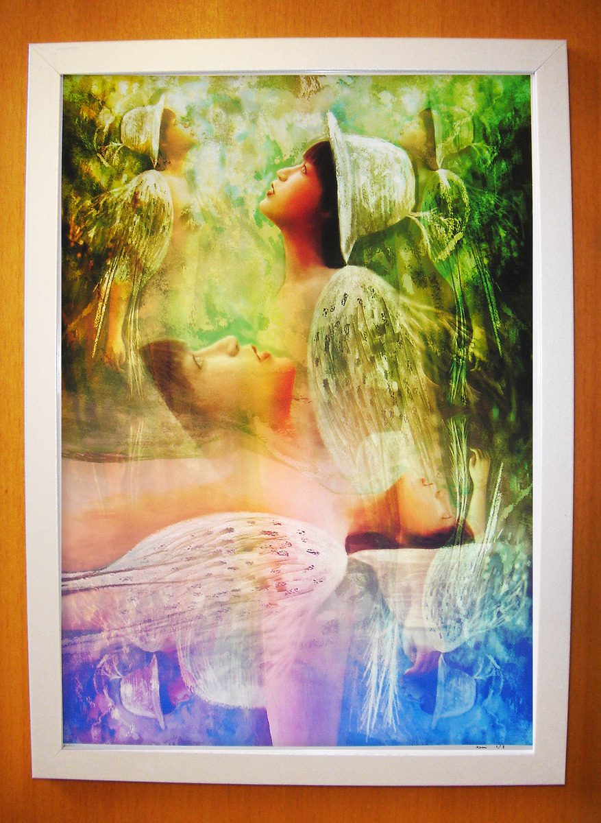 オフィーリア15(植224)1/5