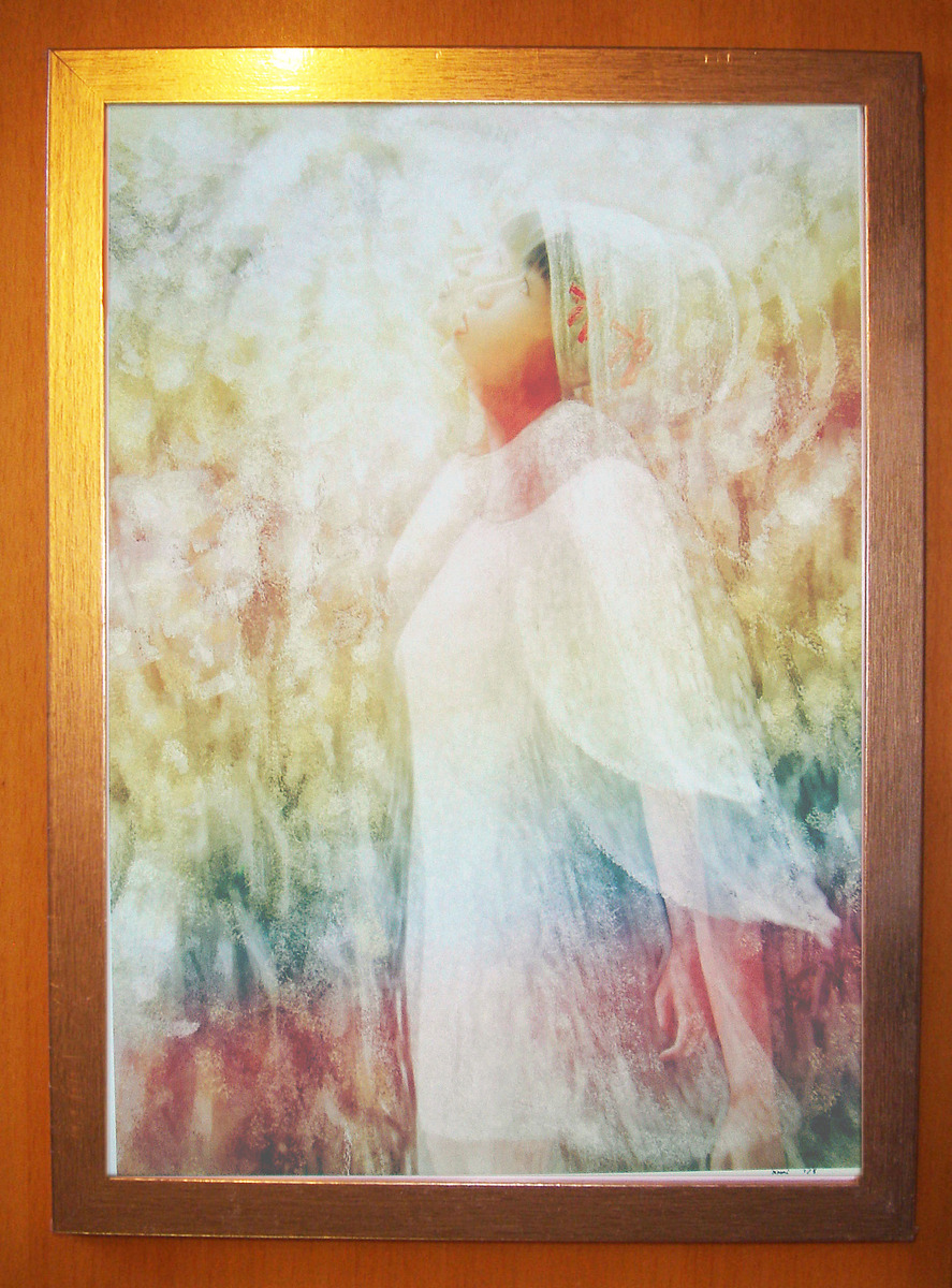 雪の虹1/5(植253)