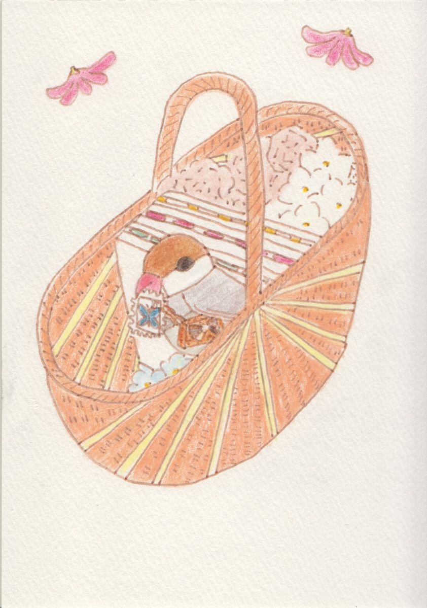 伝書文鳥とフルーツサンド