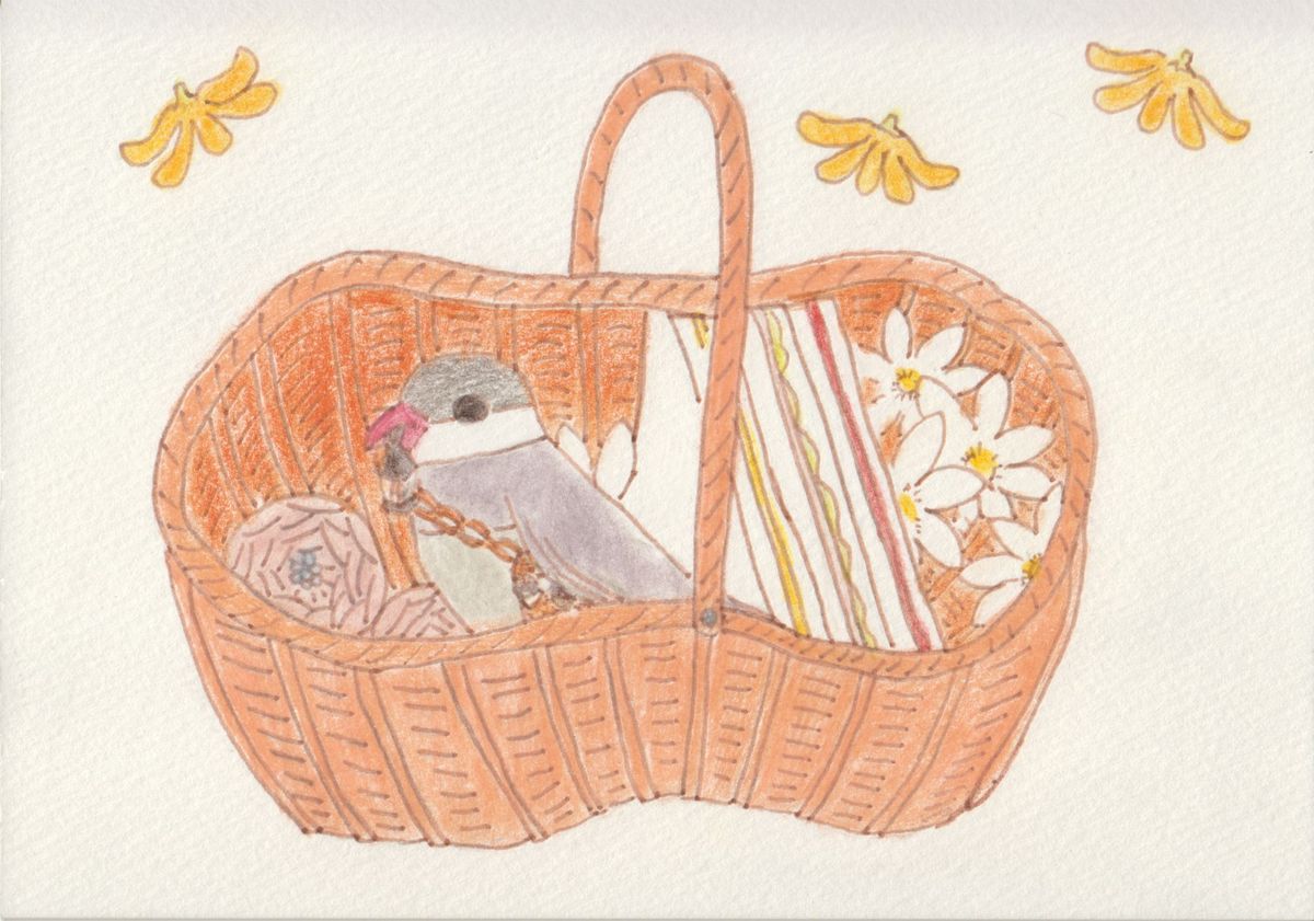 伝書文鳥とサンドウィッチ