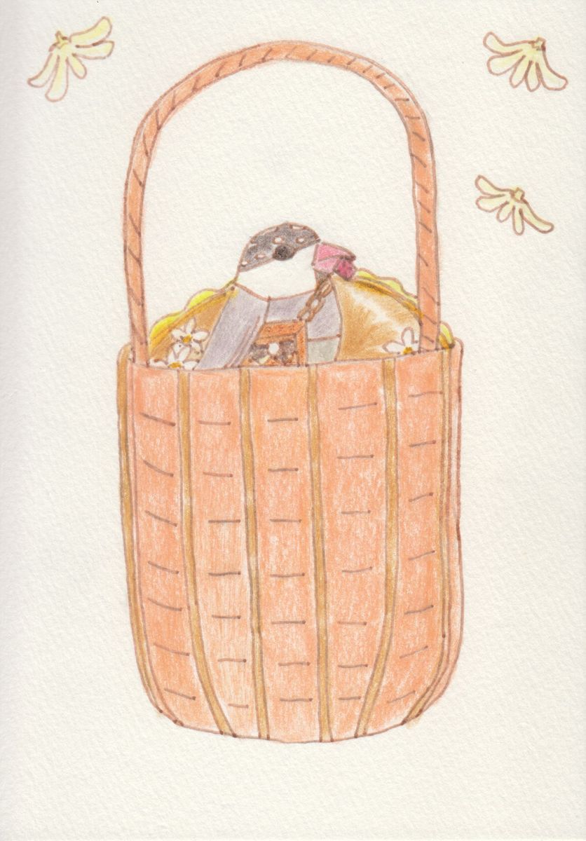 伝書文鳥とベーグル