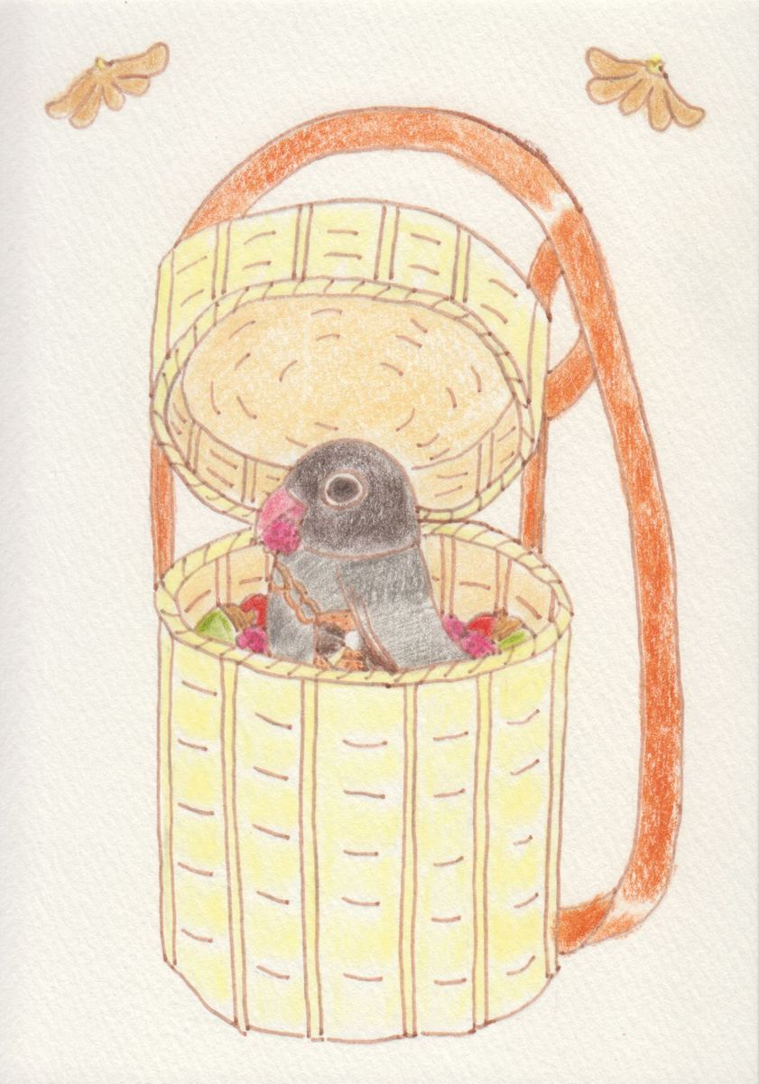 伝書文鳥と木の実