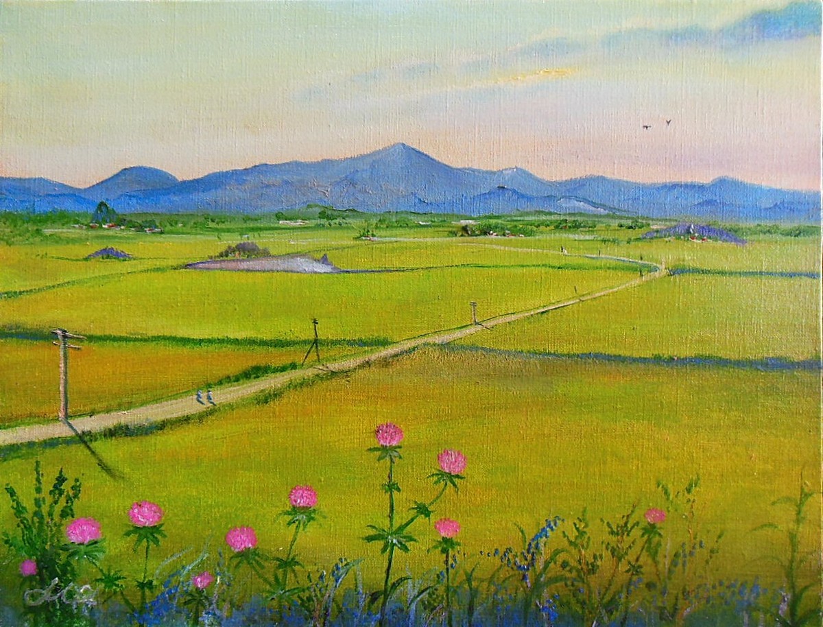 故郷のセンニチコウ(1年草)咲く風景・・・f-6号