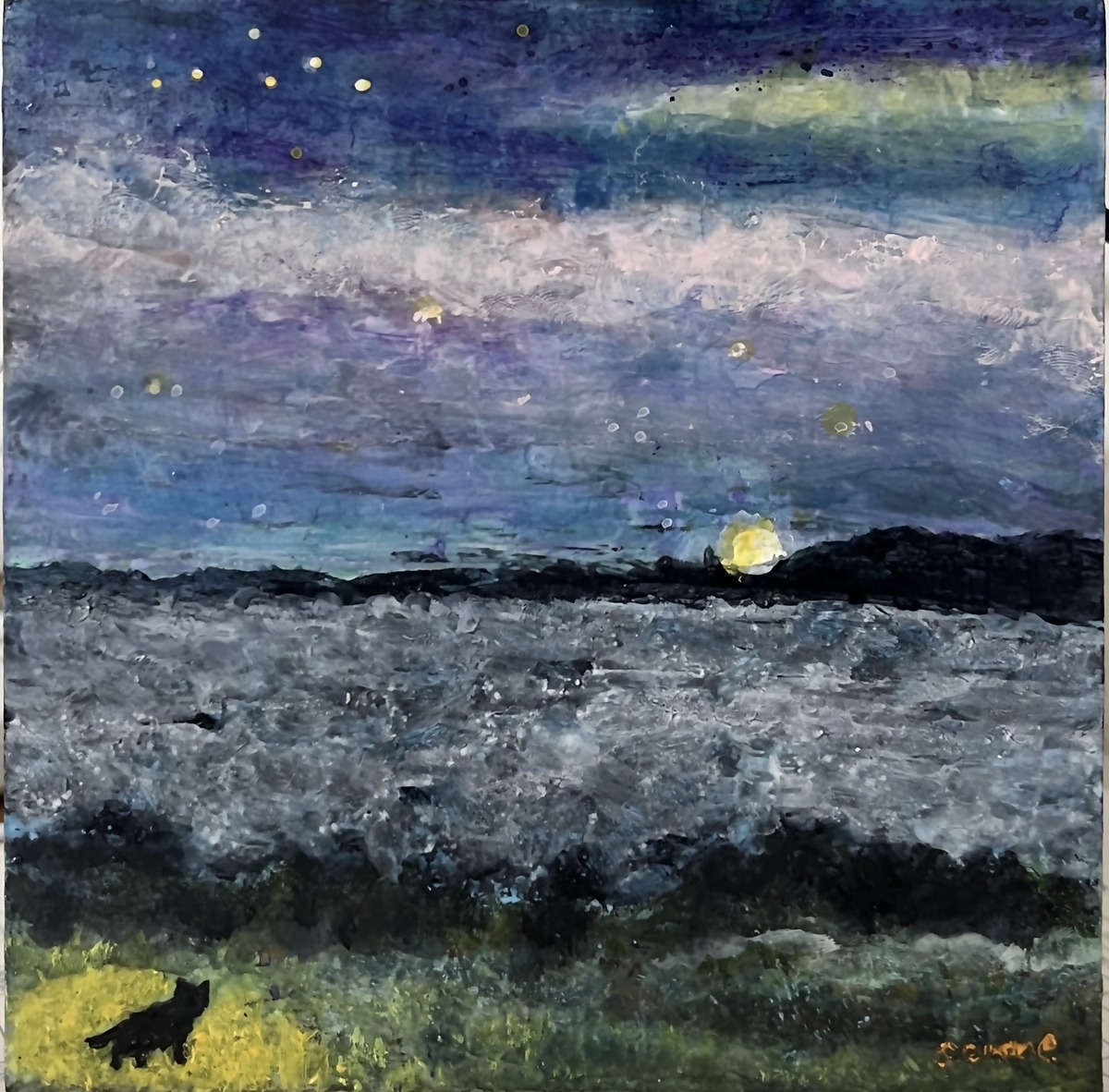 海を散歩する猫