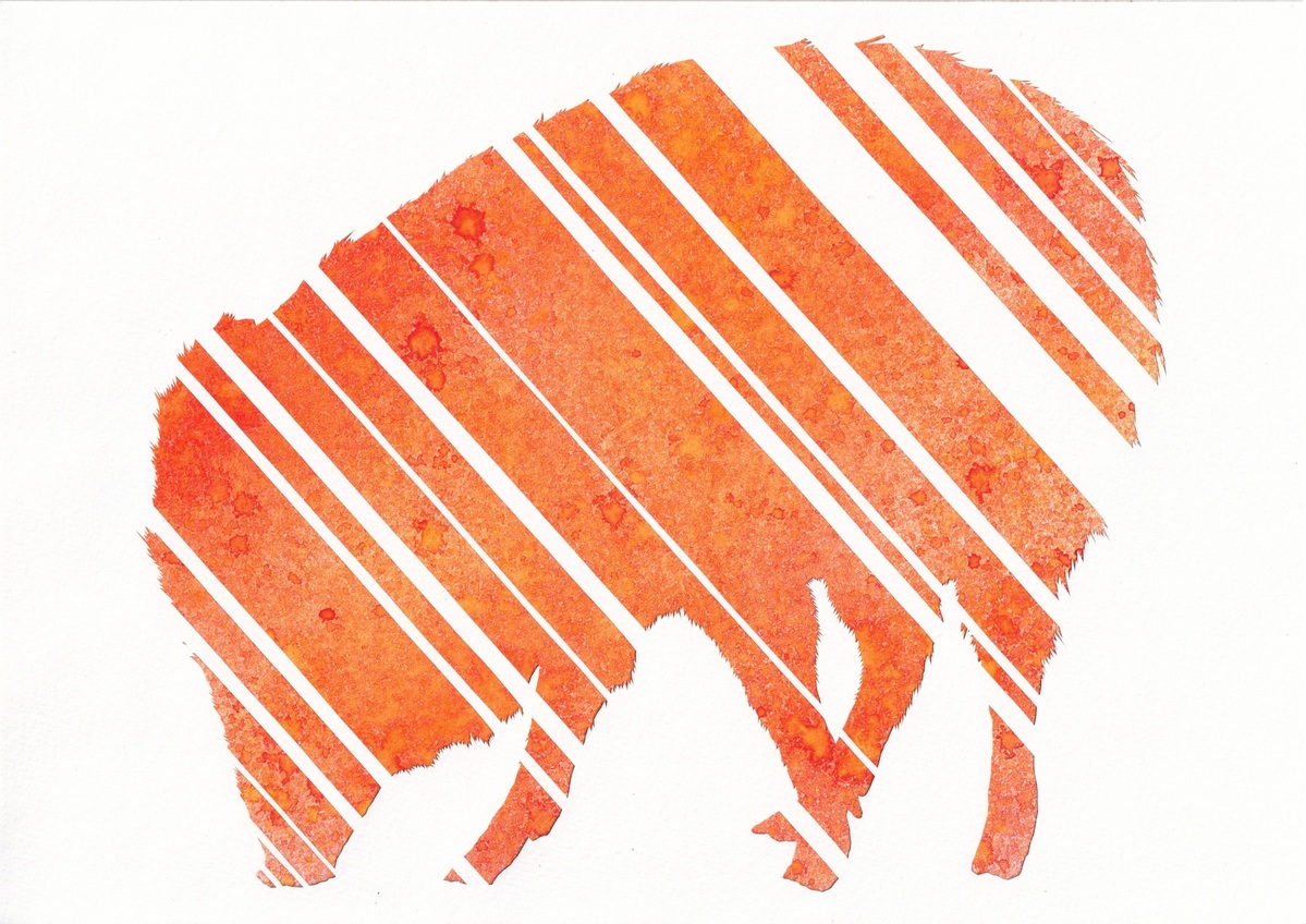 てくてくペッカリー