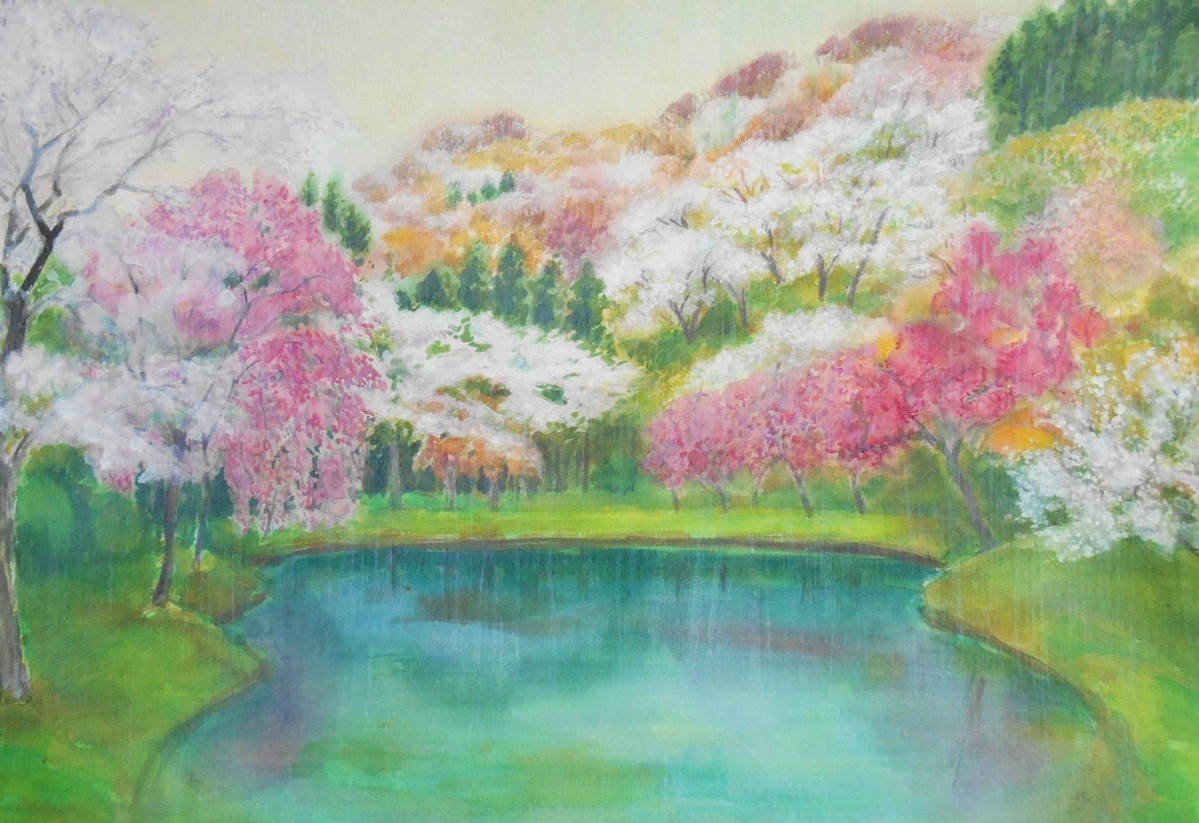 雨の昌明寺の桜