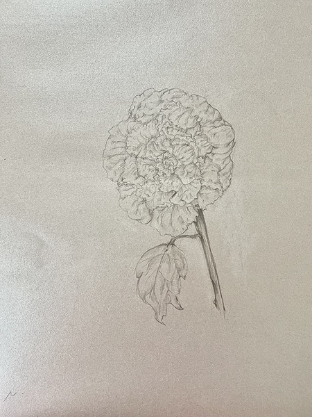 酒井抱一に捧ぐ芍薬図