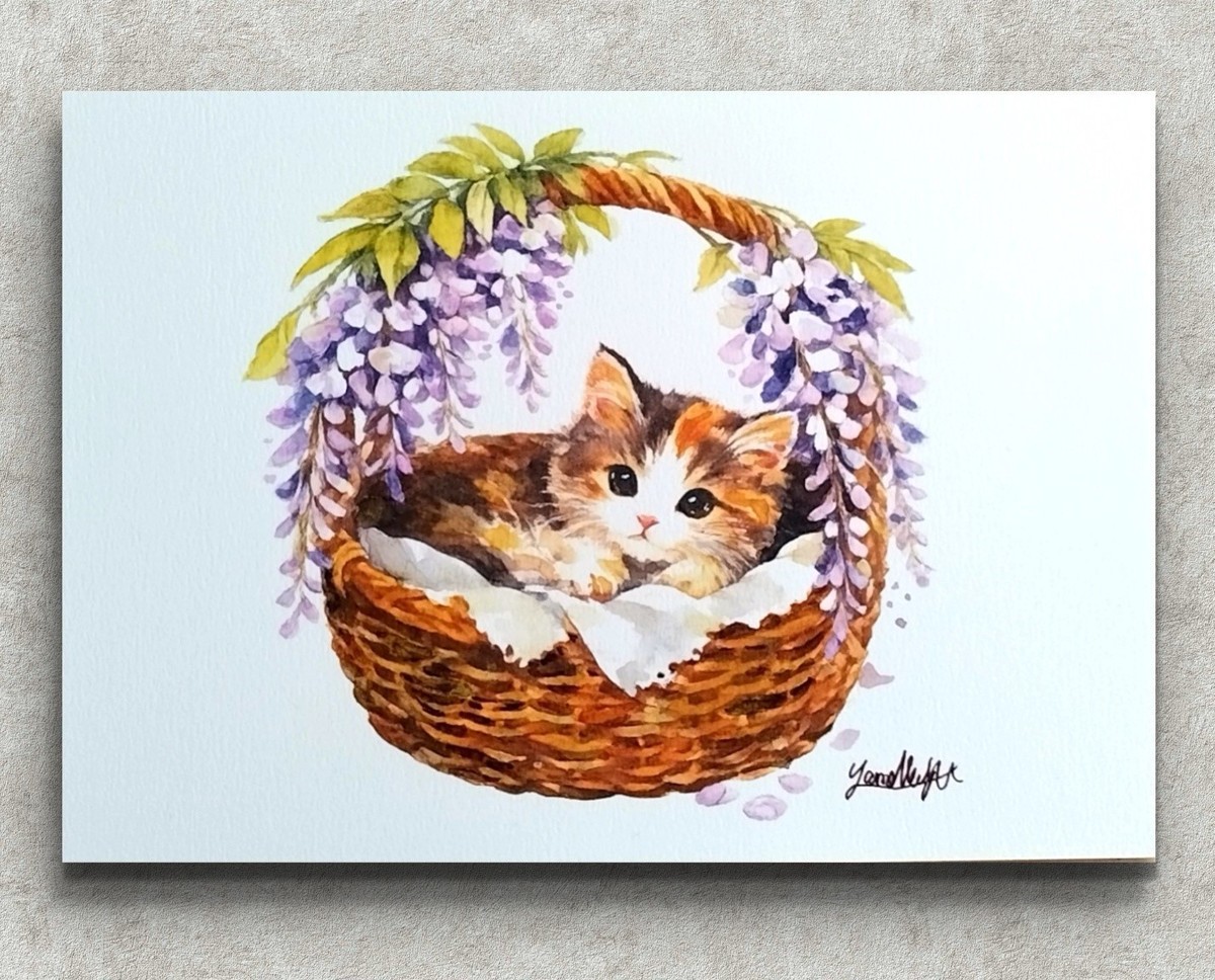 藤天蓋のまどろみ