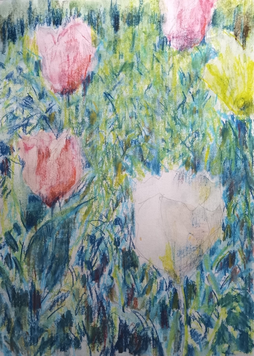 野に咲くチューリップ