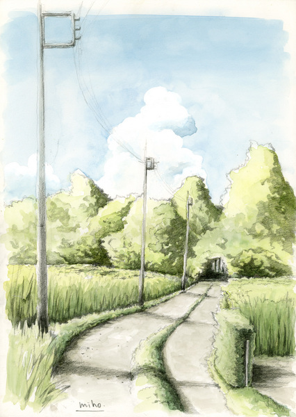 散歩道