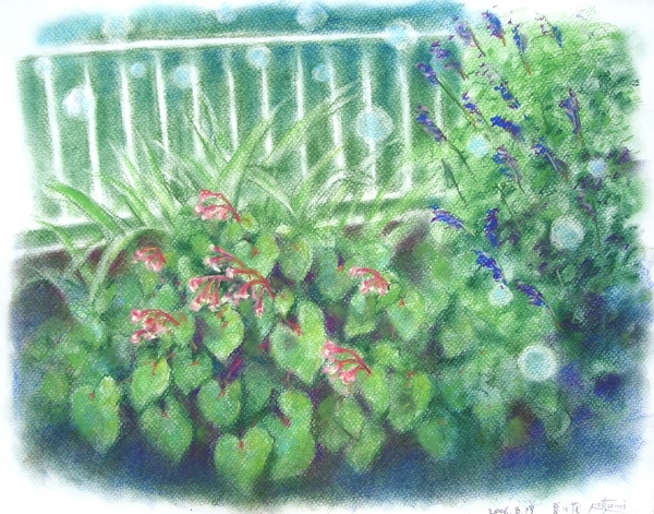 夏の花