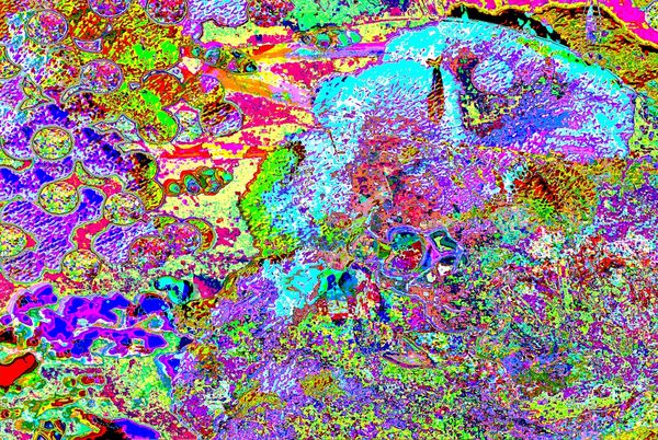 美しい深海の世界 ?