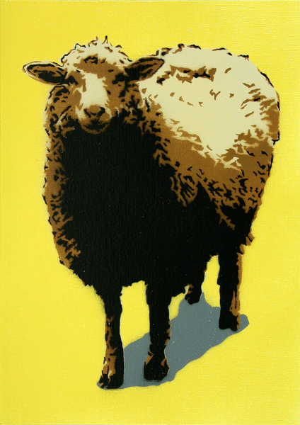 sheep