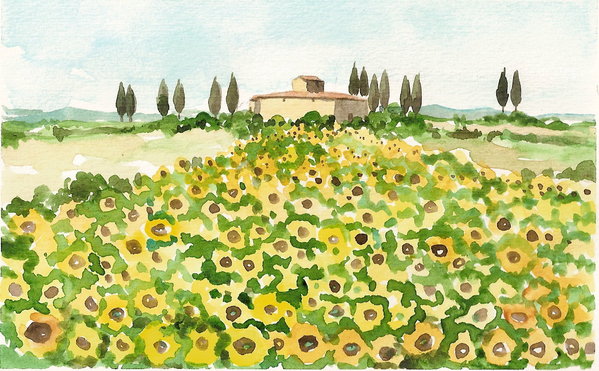 GIRASOLE