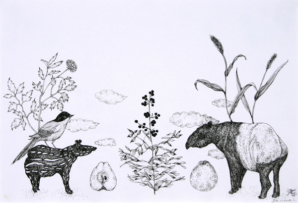 植物画 バクは三度夢を喰う 石井石灰 Art Meter 植物画 バクは三度夢を喰う 石井石灰 Art Meter