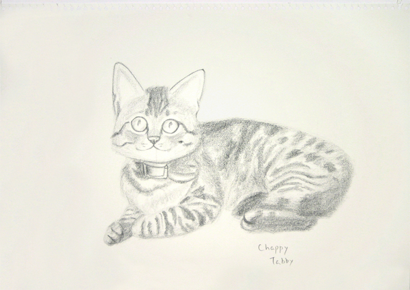 お座りトラ猫