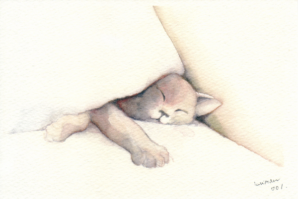 つぶれる猫001