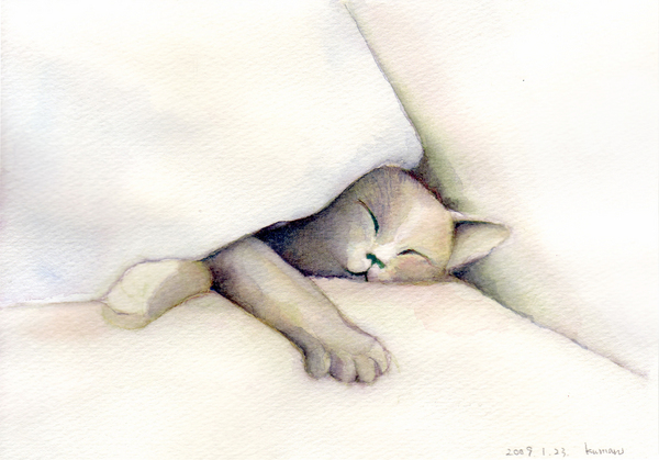 つぶれる猫