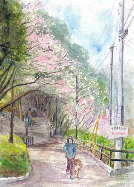 公園