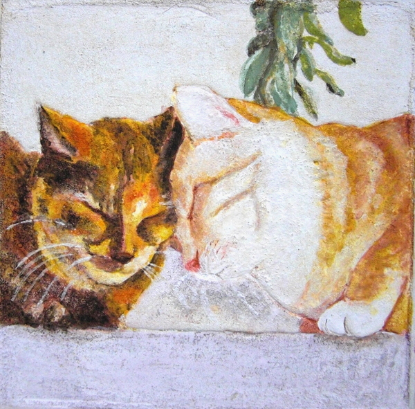 頭突き猫(その2)