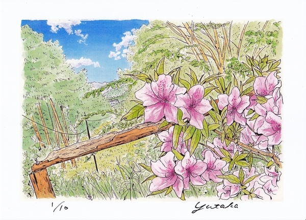 吉野山つつじ 1/10