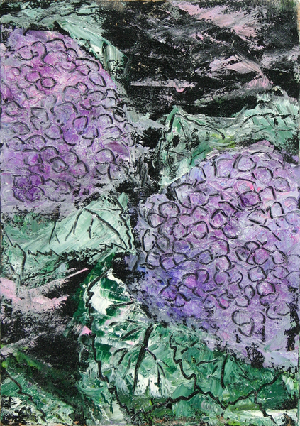 紫陽花‐毒をもつ‐