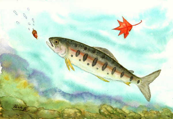 骨董絵画 ヤマメ(山女魚)の3D 水彩画