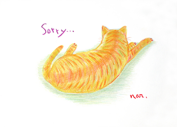 イラスト画 Sorry 鳴尾浜 ちぬ Art Meter