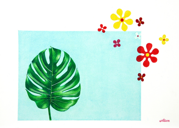 Monstera