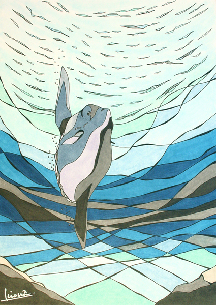 マンボウ