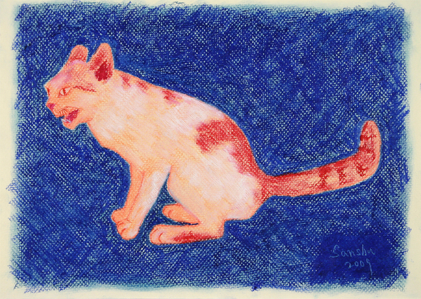 Wildcat